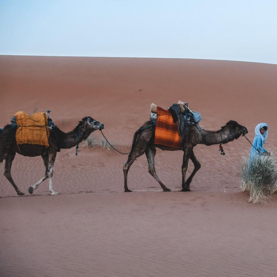 לינה וארוחת בוקר מרזאוגה Camel Luxury Camp מראה חיצוני תמונה