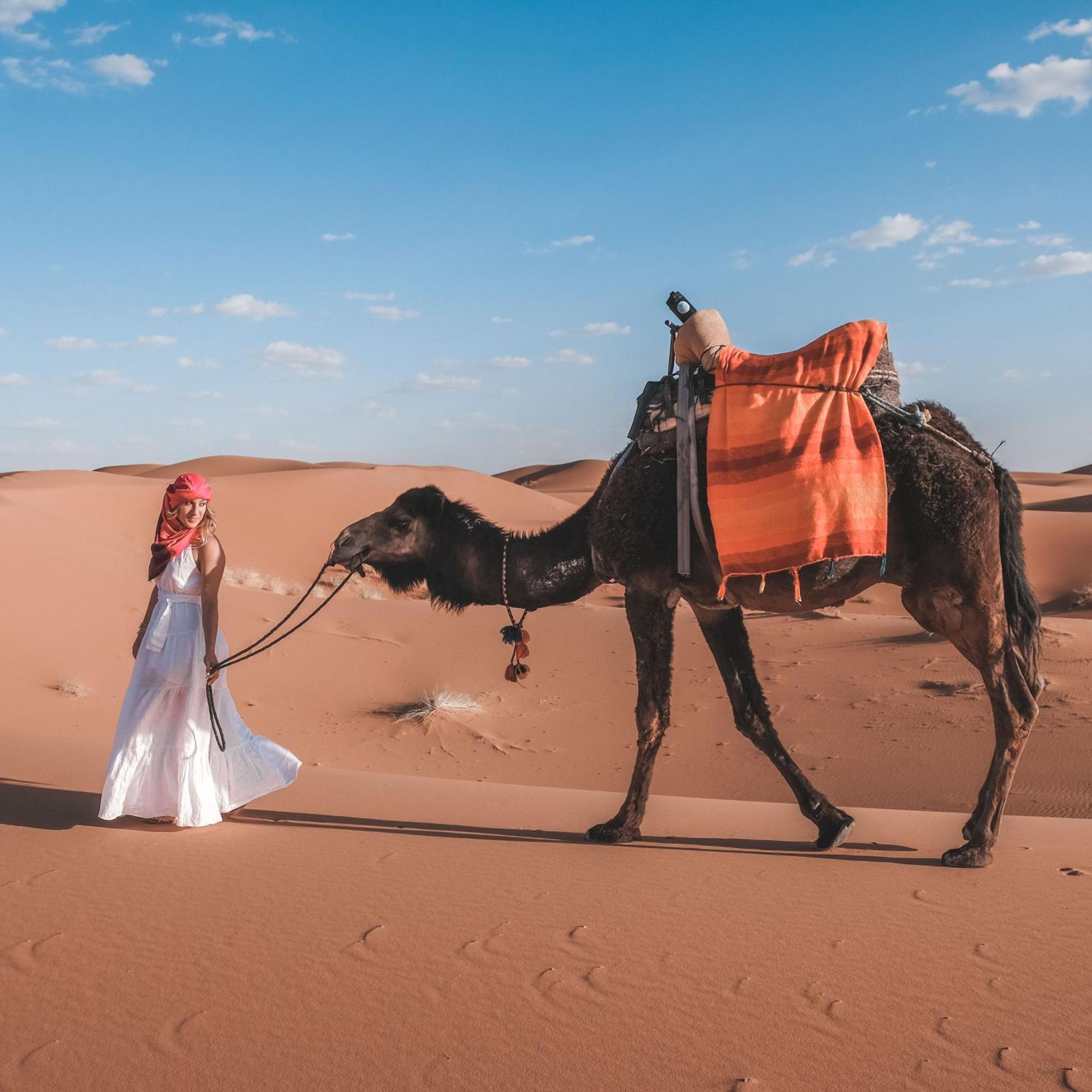 לינה וארוחת בוקר מרזאוגה Camel Luxury Camp מראה חיצוני תמונה