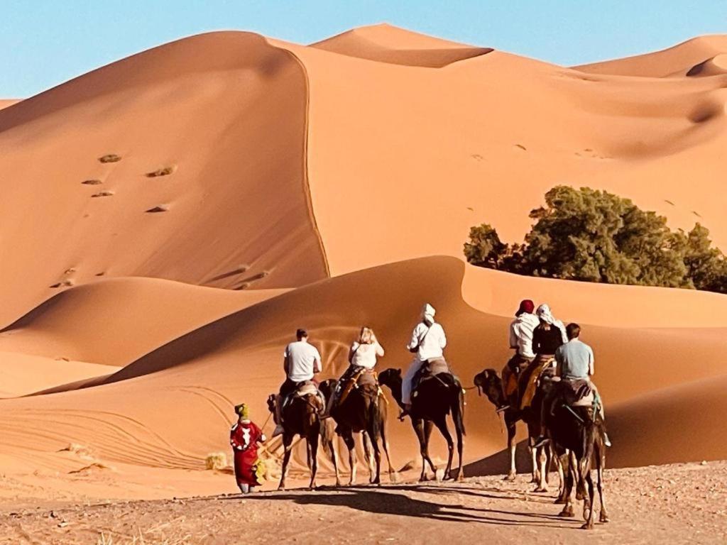 לינה וארוחת בוקר מרזאוגה Camel Luxury Camp מראה חיצוני תמונה